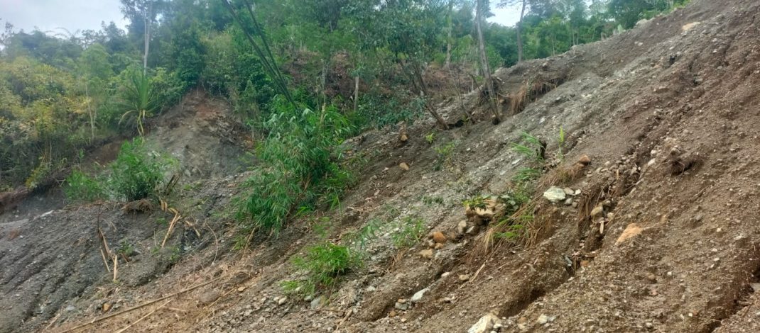 Pembukakan Jalan Poros Desa Banjar Malayu, Diduga Kurang Profesional