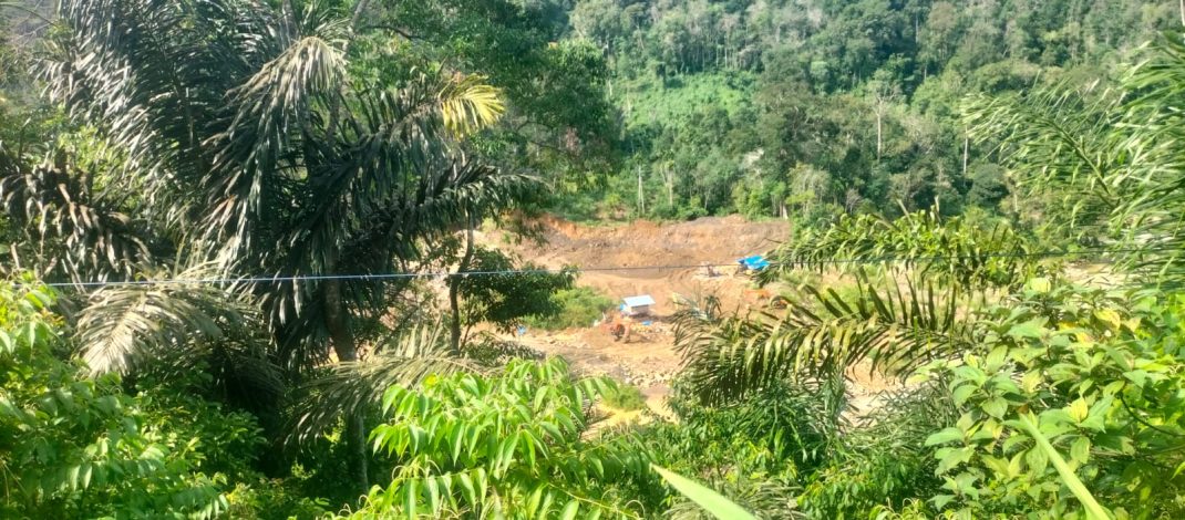 TANGKAP PAK KAPOLRI MAPIA PETI Di KEC, BATANG NATAL.