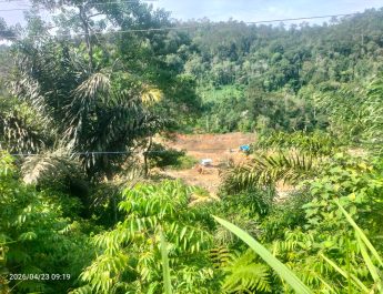 TANGKAP PAK KAPOLRI MAPIA PETI Di KEC, BATANG NATAL.