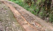 Kecelakaan Mobil Pick Up di Jalan Menuju Desa Bondar Panjang, Bukti Kegagalan Pemkab Madina Dalam Penyelenggaraan Jalan.