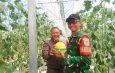 WISATA PETIK MELON DIRESMIKAN, DORONG PENGEMBANGAN SEKTOR PERTANIAN TERINTEGRASI