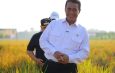 Mentan Amran: PM-AAS Gandakan Hasil Panen, Pendapatan Petani Ikut Naik