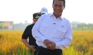 Mentan Amran: PM-AAS Gandakan Hasil Panen, Pendapatan Petani Ikut Naik