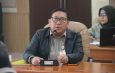 Pemerintah Perketat Pemantauan Stok Jagung Pakan, Pastikan Peternak Rakyat Dapat Harga Wajar